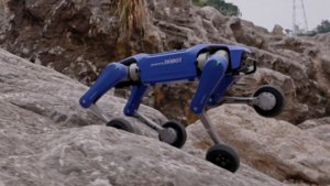 DOBOT's $1K Rover X1: A Robot Dog for the Rest of Us?