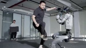 Robot Stability Test: A Kick Too Far?